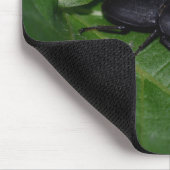 Tapis De Souris Dorcus parallelipipedus, le moindre dendroctone du (Coin)