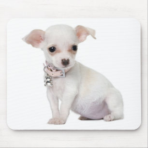 Tapis de souris d'ordinateur Chien chiot Chihuahua