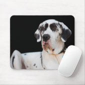 Tapis De Souris Dottie CrazyPants MousePad (Avec souris)