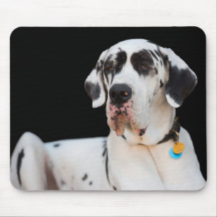 Tapis De Souris Dottie CrazyPants MousePad