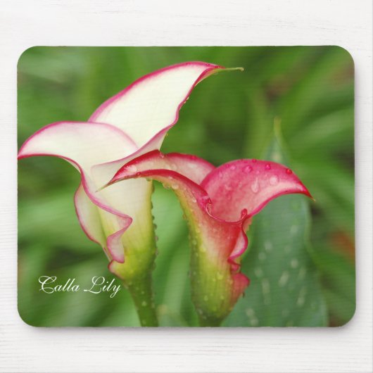 Tapis De Souris Double Calla Lily Mousepad (Devant)