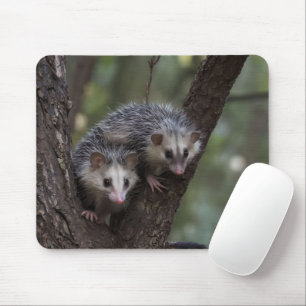 Tapis De Souris Double difficulté dans la canopée : Sommes jumelle