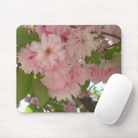 Tapis De Souris Double floraison cerisier II printemps fleuri (Avec souris)