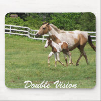DOUBLE VISION