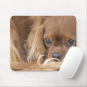 Tapis De Souris Douce Cavalier King Charles Spaniel Ruby (Avec souris)