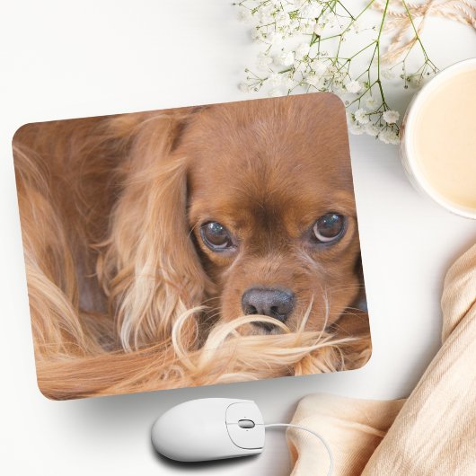 Tapis De Souris Douce Cavalier King Charles Spaniel Ruby