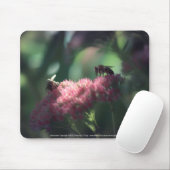 Tapis De Souris Douceur (Avec souris)