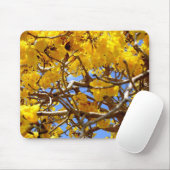 Tapis De Souris Douche d'or (Avec souris)