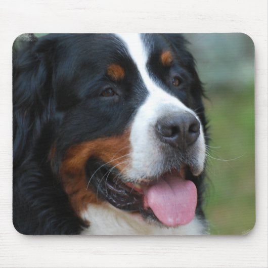 Tapis de souris doux de Bernese (Devant)