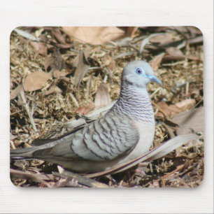 Tapis De Souris Dove pacifique - Geopelia placida