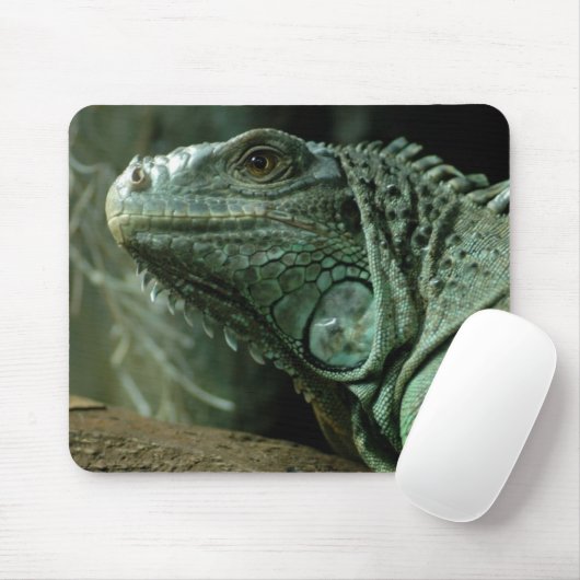 Tapis De Souris Dragg-sur Mousepad (Avec souris)