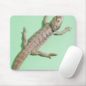 Tapis De Souris Dragon barbu (Avec souris)