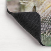 Tapis De Souris Dragon barbu 2 (Coin)