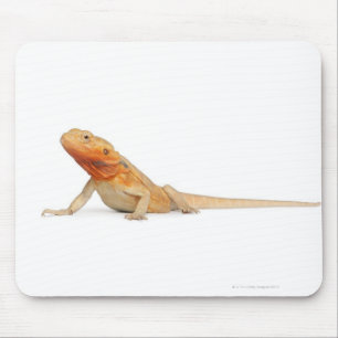 Tapis De Souris Dragon barbu scaleless de SilkBacks - Pogona