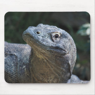 Tapis De Souris Dragon de Komodo