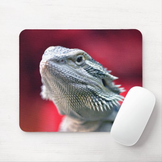 Tapis De Souris Dragon Mousepad principal (Avec souris)