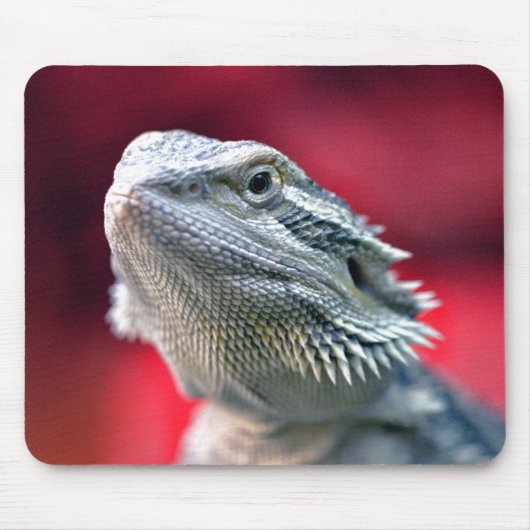 Tapis De Souris Dragon Mousepad principal (Devant)