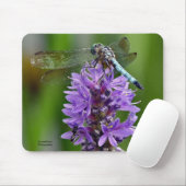 Tapis De Souris Dragonfly 2 (Avec souris)