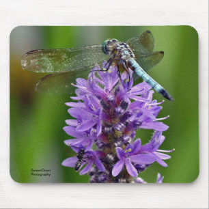 Tapis De Souris Dragonfly 2