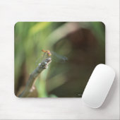 Tapis De Souris Dragonfly 5 (Avec souris)
