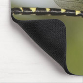 Tapis De Souris Dragonfly 5 (Coin)