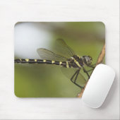 Tapis De Souris Dragonfly 5 (Avec souris)