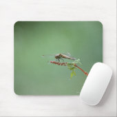 Tapis De Souris Dragonfly 6 (Avec souris)