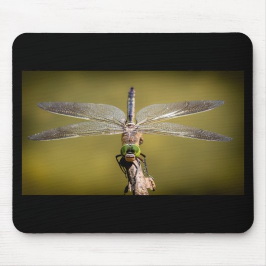 Tapis De Souris Dragonfly cool (Devant)
