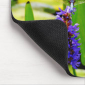 Tapis De Souris Dragonfly lotus and purple flower (Coin)