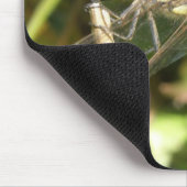 Tapis De Souris Dragonfly on Twig Macro Mousepad (Coin)