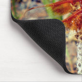 Tapis De Souris Dragonfly Orange (Coin)