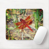 Tapis De Souris Dragonfly Orange (Avec souris)