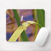 Tapis De Souris Dragonfly sur la feuille de pluie (Avec souris)