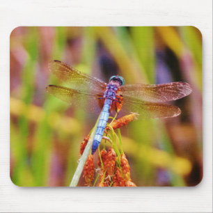 Tapis De Souris Dragonfly turquoise sur le carex
