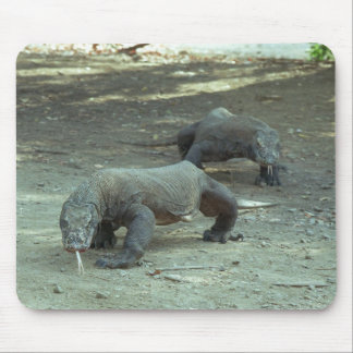 Tapis De Souris Dragons de Komodo