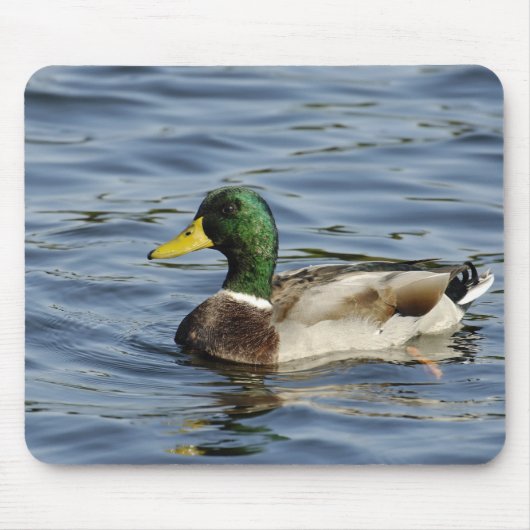 Tapis De Souris Drake (Devant)