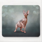 Tapis De Souris Drawing Sphynx kitten (Devant)