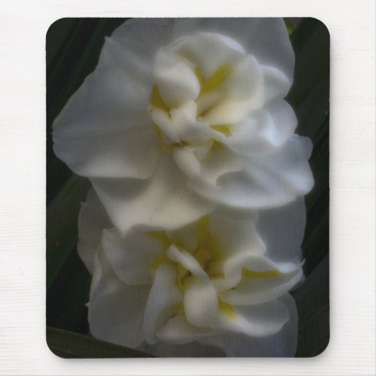 Tapis De Souris Dreamy Narcissus Daffodils (Devant)