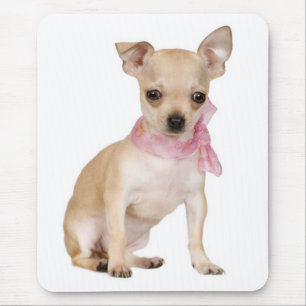Tapis de souris drôle de Chien Mignon Chihuahua Am