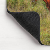 Tapis De Souris Drôle Grinning Chestnut Mare & Pasture Photo (Coin)