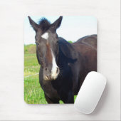 Tapis De Souris Drôle Mare (Avec souris)