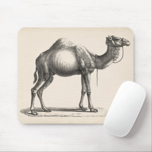 Tapis De Souris Dromedary Sketch