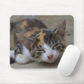 Tapis De Souris Drowsing Calico Kitten (Avec souris)