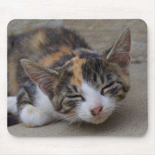 Tapis De Souris Drowsing Calico Kitten (Devant)