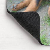 TAPIS DE SOURIS DSCF0140 (Coin)