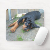 TAPIS DE SOURIS DSCF0140 (Avec souris)