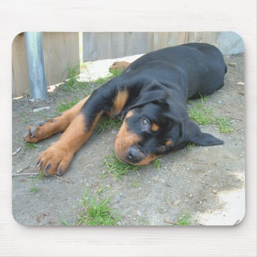 TAPIS DE SOURIS DSCF0140 (Devant)