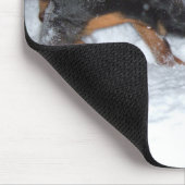 TAPIS DE SOURIS DSCF0448 (Coin)