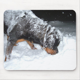 TAPIS DE SOURIS DSCF0448