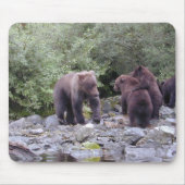 TAPIS DE SOURIS DSCN0088 (Devant)